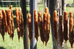 აკადემოსელების ვიზიტი კახეთში