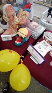 ილიაუნის სამეცნიერო პიკნიკი 2025