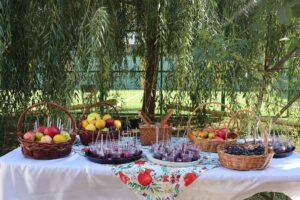 თათარაობა 2025