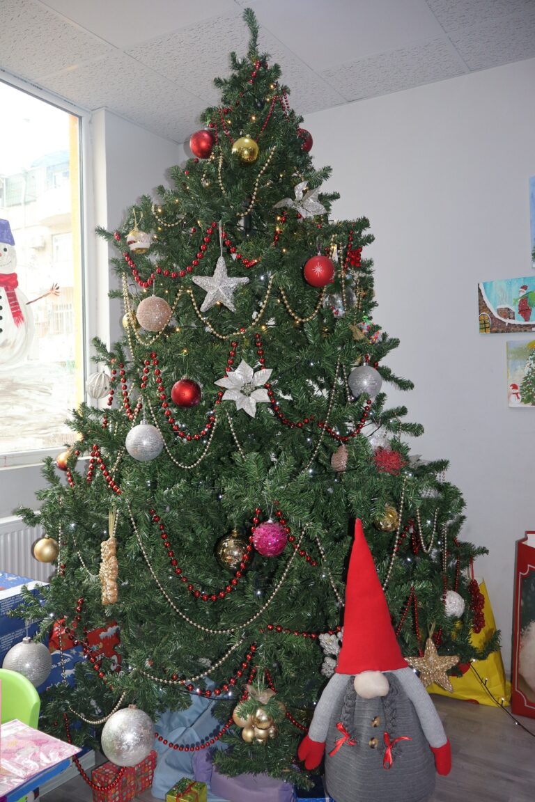 საახალწლო გამოფენა-გაყიდვა Akademos TV-ის რეპორტაჟი