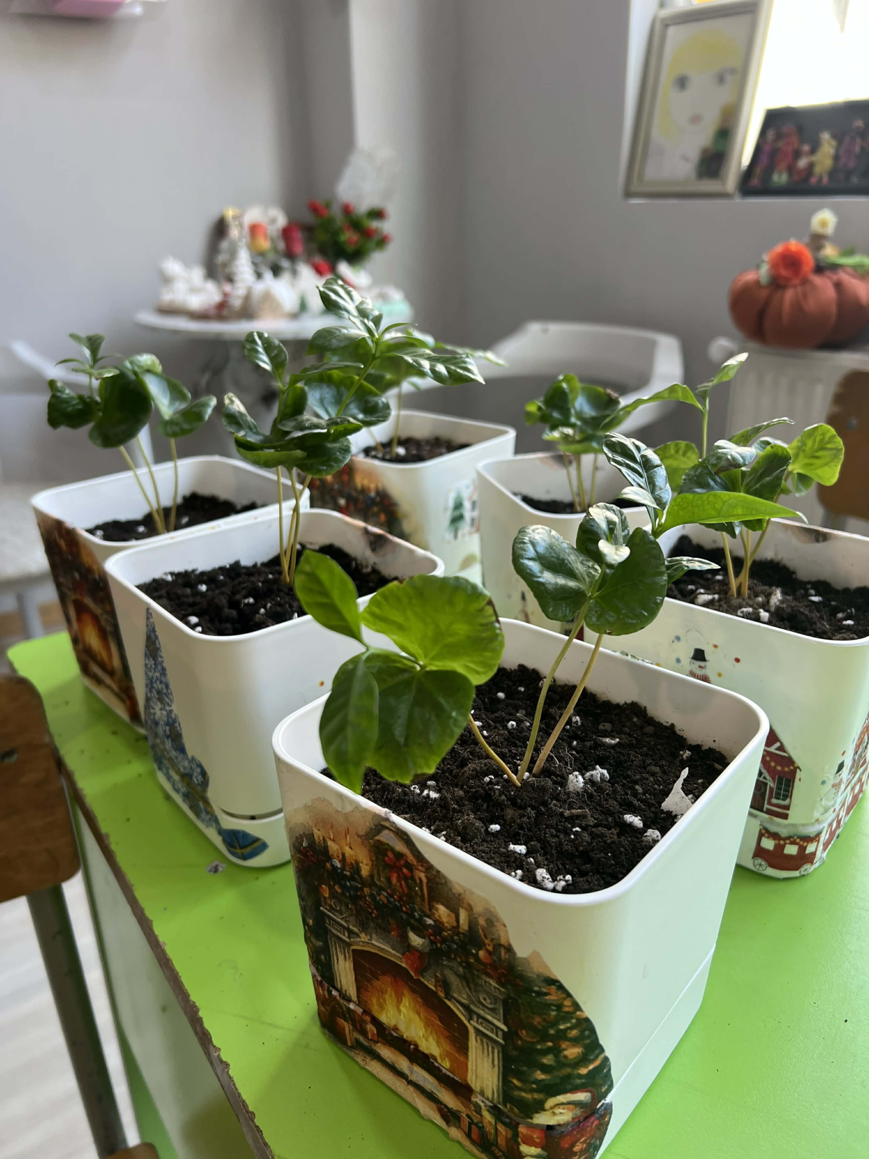 მასტერკლასი “მწვანე გაკვეთილი”