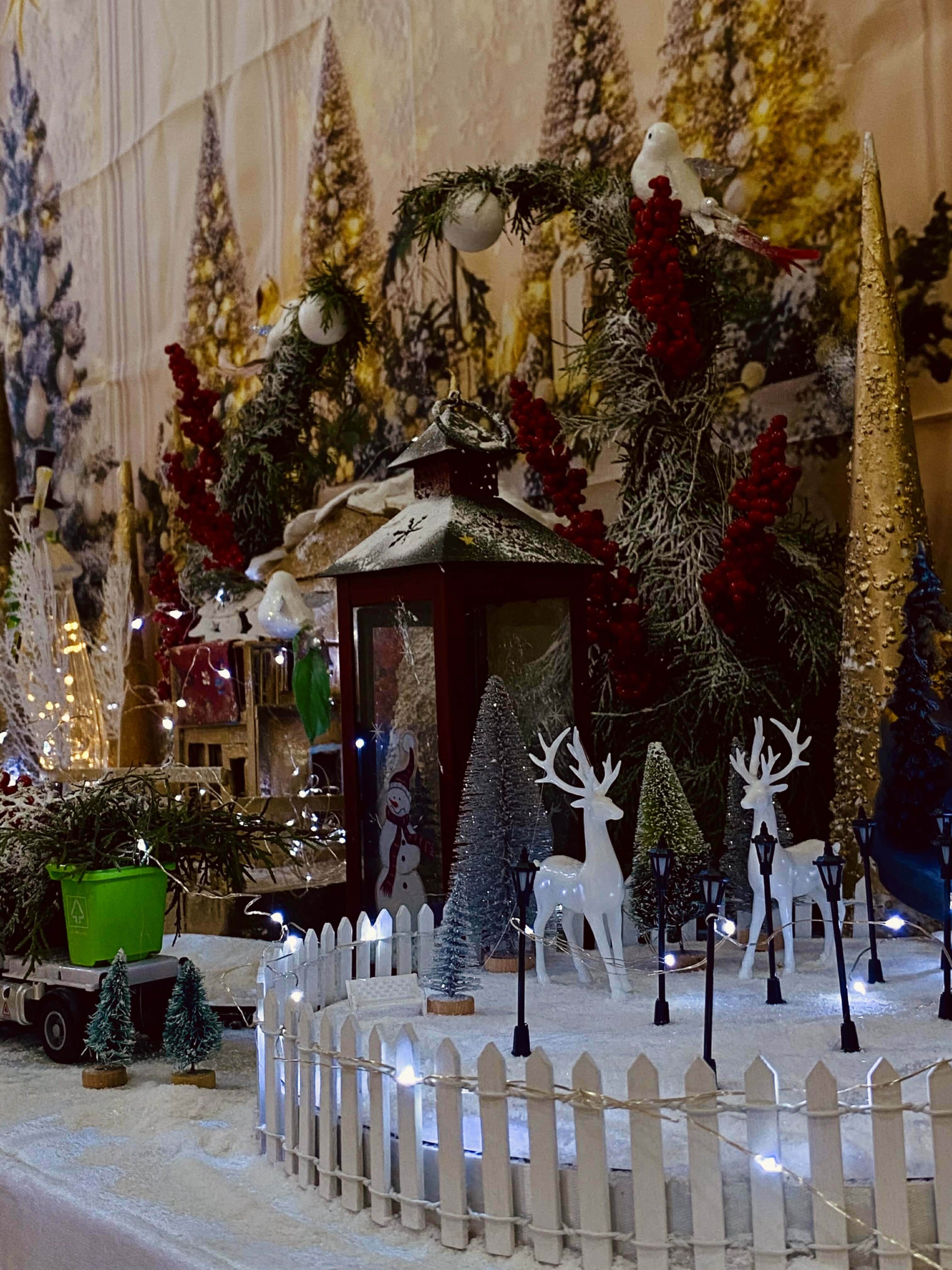 საახალწლო განწყობა აკადემოსში